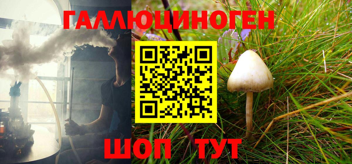 Ухта  Псилоцибиновые грибы Cubensis  Вход с VPN 