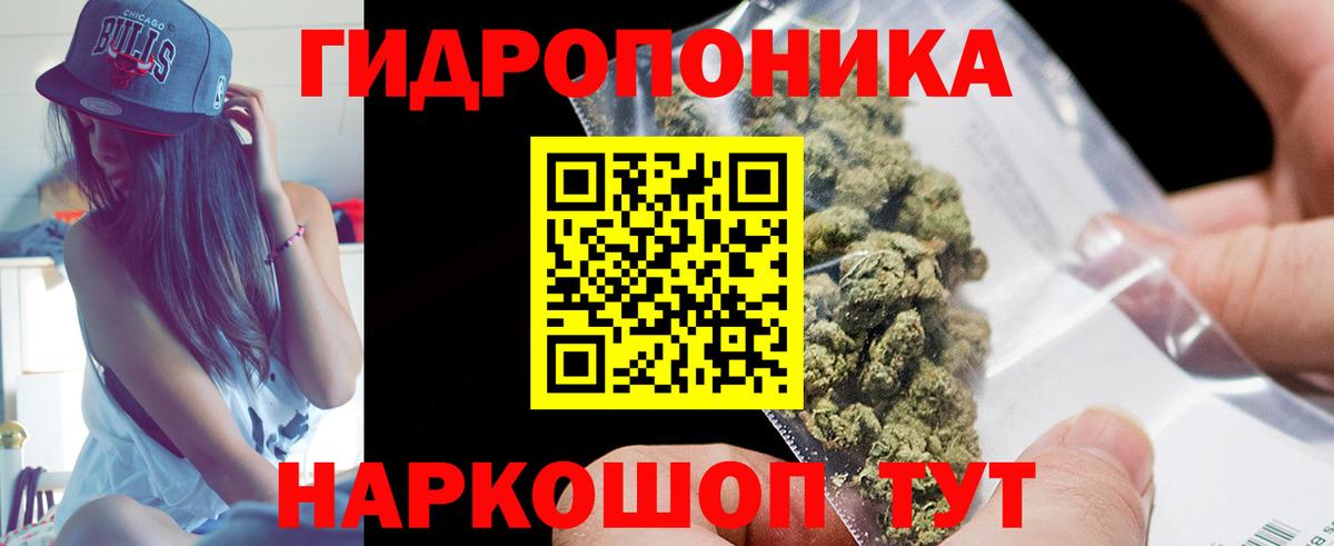 Бошки Шишки планчик Ухта